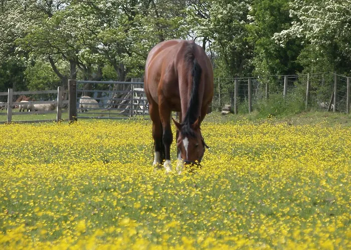 Holiday home Wynnville