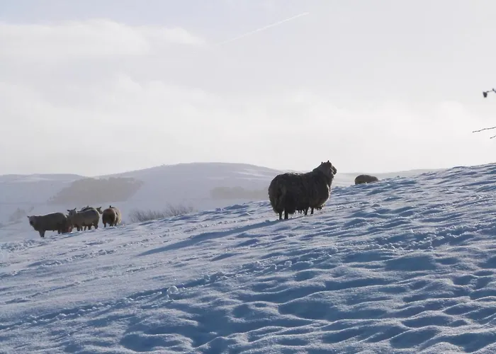 Wynnville Holiday home