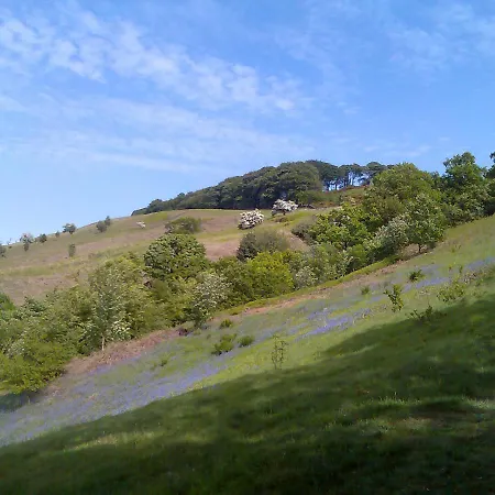Wynnville * Embsay